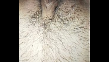 Sveltina italiana