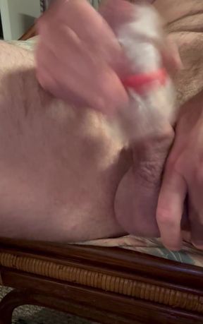 Man grooming cat