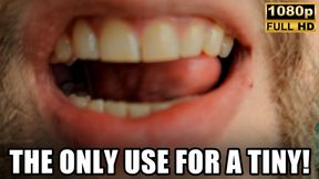 Tinies Are Onlu Good For One Thing - Vore - 1080p HD - KingMarti