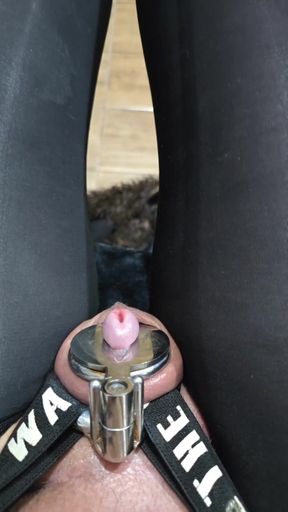 Hard to Fit in Chastity