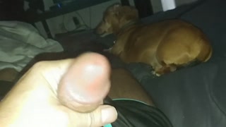 Curious straight guy CORY, CELEBRITY SEX TAPE &amp; SEX TOY MOANING LOUD TO CUM