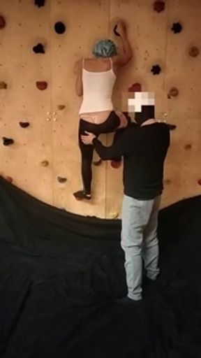 Troia in palestra