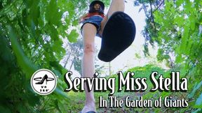 Serving in the Garden of Giants - VR MP4