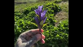 I got a super amazing flower from Lily lu filmz! ?What&rsquo_s the most thoughtful gift you&rsquo_ve ever received?#Flower...