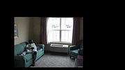 jerking off in front of 1st floor hotel window
