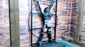 CFT019 BONDAGE WHIPPING SEX TOYS ELECTRIC BALLGAGGED FUCKING MACHINES DILDO FUCKING ORGASMS BONDAGE DEVICE HUMILIATION STRUGGLING EXTREME DOMINATION SLAVE TRAINING