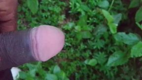 Black dick pissing video