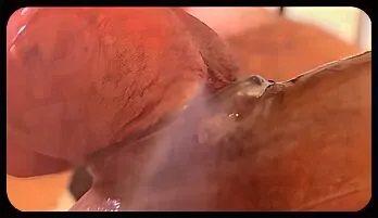 Hot MILF with Big Tits Gets Pounded in Ass with Condom Top Rated