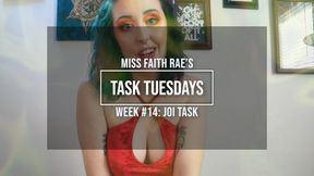 Week 14: A Peculiar Task for Squirmy Strokers (MP4)