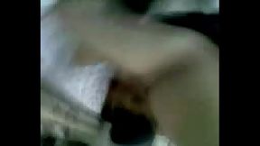 Petisito