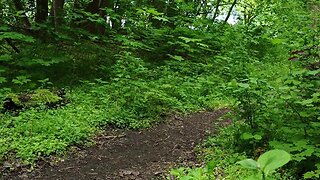 Naked, caged plug check: amateur strip, anal plug, butt plug, public butt plugs, caged slave, chastity cage, and ass!