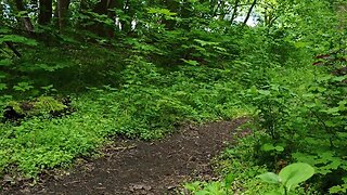 Naked, caged plug check: amateur strip, anal plug, butt plug, public butt plugs, caged slave, chastity cage, and ass!