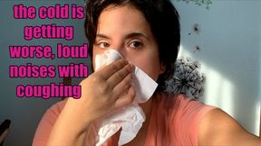 I blow my nose very loudly - this February cold is getting worse and worse