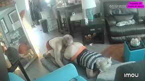 My Best Friend'_s Step Dad Wanted To Fuck My Ass ALEXIA ST JAMES