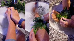 onsens feet spa# japanese foot therapy