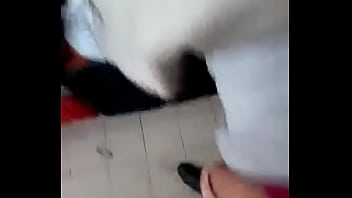 Perrita gritando