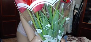 My Morning Started with a Bouquet of Tulips and Lesbian Sex
