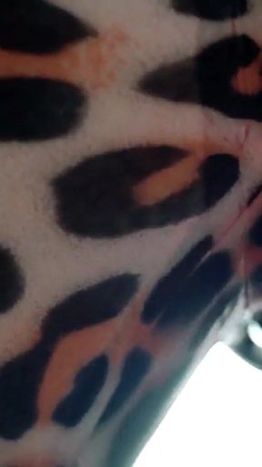 Amazing Facesitting POV Femdom Latex Rubber