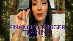 FINANCIAL TRIGGER TRAINING PART ONE