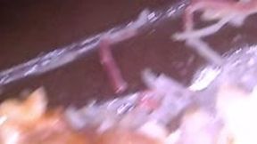 giantess - Giantess Sushi Feast – You’re Just an Ingredient POV, femdom, vore, fantasy 4k smaller