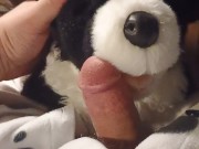 Border Collie Plushie Licks And Makes Onesie Pubby Cum!