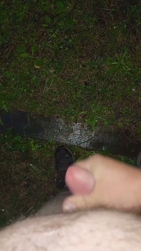 Almost Caught in a Park