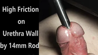 Extreme Urethral Sounding Close-Up with Frenulum Torment and Loud Moaning