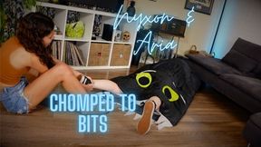 Nyxon & Aria Urban Explorers Chomped To Bits HD 1080p MP4