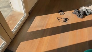 Kiss&amp;Ride and PeachLollyPop - At their first meeting