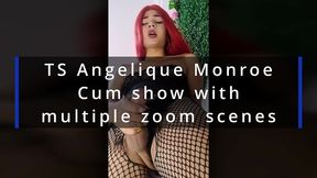 ts angelique monroe - i cum in my fishnet lingeries