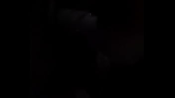 Mi vecino otraves