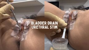 Bladder Drain & Urethral Stim 4K