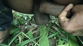 Hot in the fields
