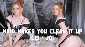 Maid Makes You Clean It Up