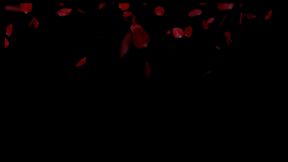 Special Edition Valentine's Day Digital DVD