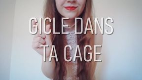 Gicle dans ta cage