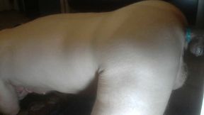 Big Dildo Deep In Me