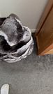 Chinchilla fur coat