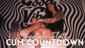 Cheetah Flats Cum Countdown - HD