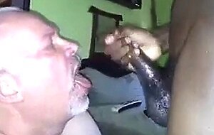 Black Bear Cub Takes on Daddy