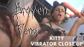 Hairy Kitty Vibrator Closeup: Buzz Tease Bush Till Squirm Drip