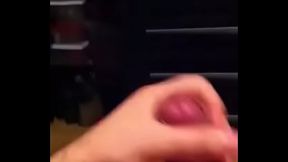 Regio Cock