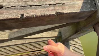 AlexSanderOfficial - Alex's Lakeside Surprise: Public Handjob & Masturbation