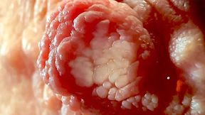 Extreme Close Up on My Nipples Play I think you never see it (wmv)