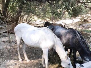 Mama finds the right position to get her dark hole stretched out.