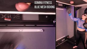 Blue Mesh Ball Boxing - Ballbusting Punches!
