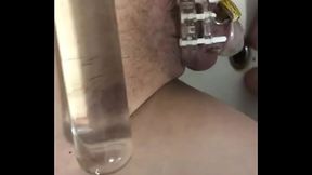 Chastity cage