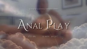 Vid185 – Anal Play