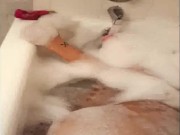 Bath time with toy