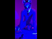 XL bad dragon horse dildo gapes pup slut on fuck machine